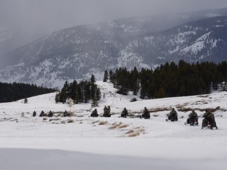 10th SFGA Soldiers drive snowmobiles to an objective during winter warfare training in Colorado. Photo by SGT Timothy Clegg, March 7, 2016.