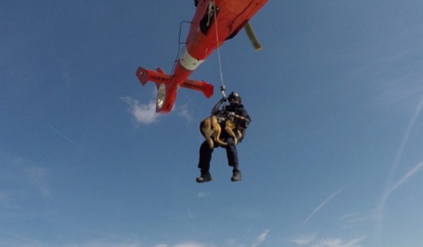 A Canine Explosive Detection Team of the U.S. Coast Guard conducts hoist training with MH-65 Dolphin helicopter and CG boat crew. (Photo PO 3rd Class Ryan Dickinson, USCG, March 29, 2018).