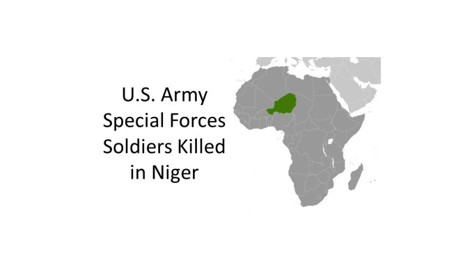 Three Green Berets killed in Niger