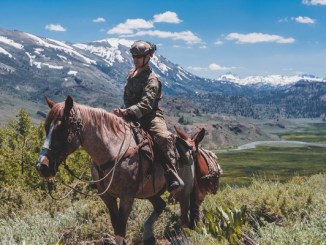 7th Group Horseback Rider