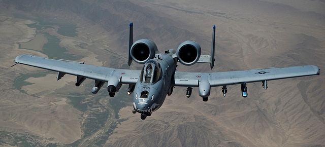 A-10 Thunderbolt II, A-10 Warthog