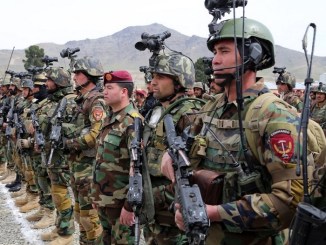 ASSF - Afghan Commando Formation