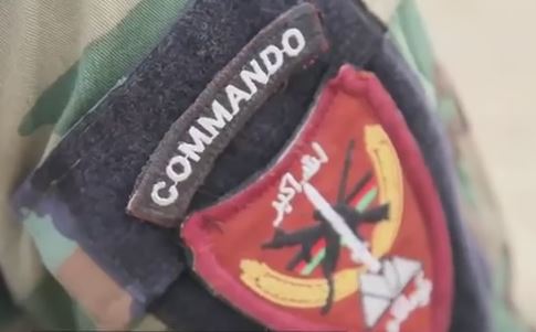 Commando Patch ANA