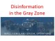 Disinformation in Gray Zone - Hearing by House Subcommittee on Intelligence and Special Operations