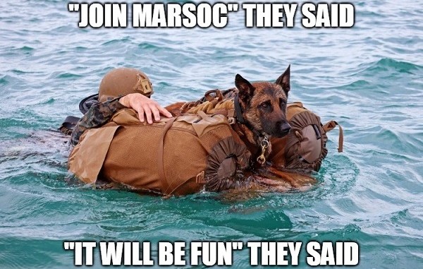 MARSOC MWD Marops