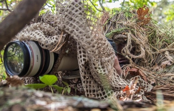 A MA NG SF soldier of 20th SFG practices stalking and surveillance techniques on June 9, 2018 at Joint Base Cape Cod, Ma.