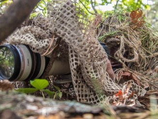 A MA NG SF soldier of 20th SFG practices stalking and surveillance techniques on June 9, 2018 at Joint Base Cape Cod, Ma.