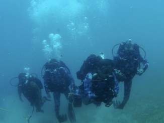 U.S. Navy and Egyptian divers conduct a familiarization dive during Eagle Response 18. U.S. Navy photo 24 July 2018.