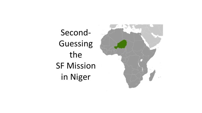 SF deaths in Niger