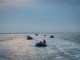 U.S. #SOF pilot small boats during bilateral training between U.S. and Spanish special operations forces and the Arleigh Burke-class guided-missile destroyer USS Porter (DDG 78), in June, 2018, near Naval Station Rota, Spain